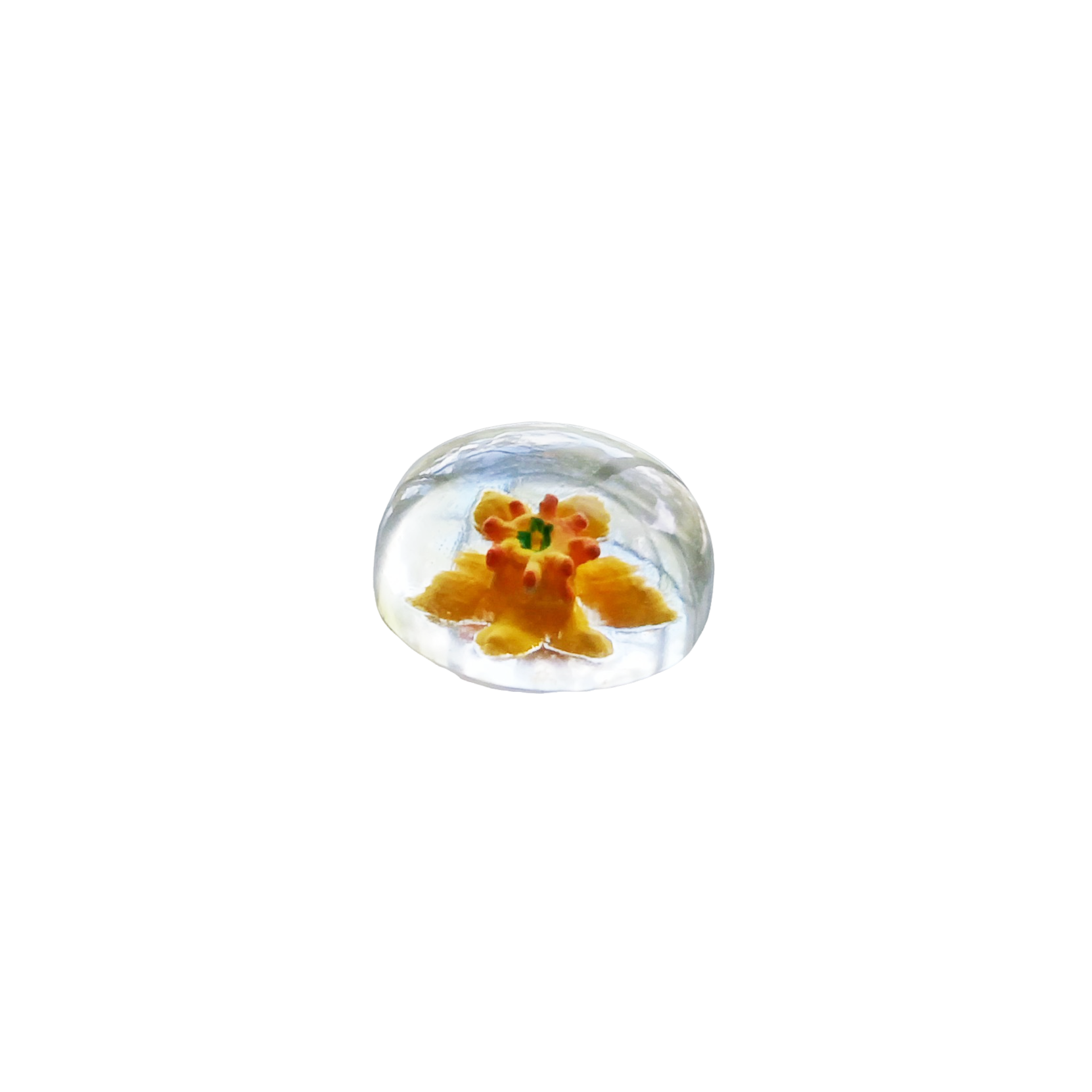Reverse Intaglio Daffodil